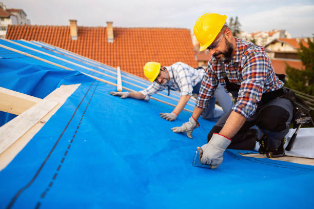 Best Rubber Roofing (EPDM, TPO)  in Wray, CO